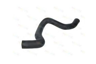 ΣΩΛΗΝΕΣ – ΚΟΛΑΡΑ